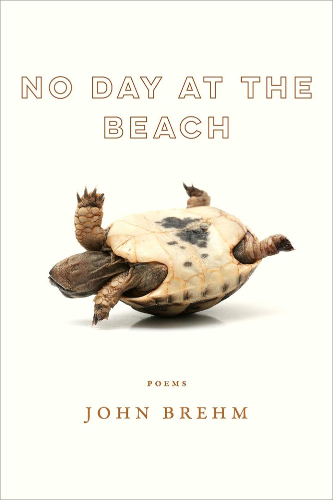 No Day at the Beach - poems by John Brehm